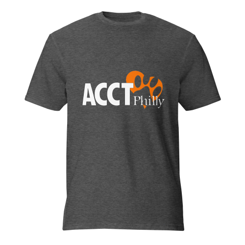 Short-Sleeve T-Shirt